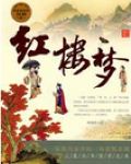红楼梦