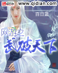 网游之武破天下