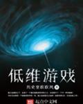 低维游戏