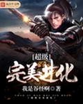 超级完美进化