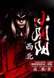 西北小阴阳