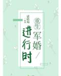 重生军婚进行时