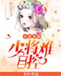 小妻多娇：少将难自控