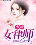 小城女律师