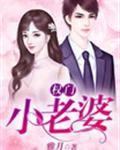 权门小老婆