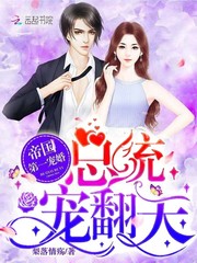 帝国第一宠婚：总统，宠翻天