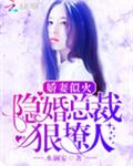 娇妻似火：隐婚总裁狠撩人！