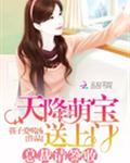 天降萌宝送上门：总裁，请签收