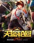 天盗轮回
