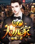 房产大玩家