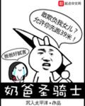 奶爸圣骑士