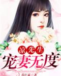 凉先生宠妻无度