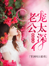 婚战不休：老公宠太深