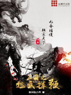 三国之魏武挥鞭