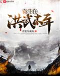 奋斗在洪武末年