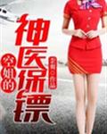空姐的神医保镖