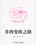 非酋变欧之路