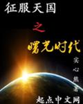 征服天国之曙光时代
