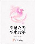 穿越之无敌小厨娘