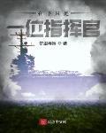 在下只是一位指挥官