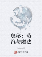 奥秘：蒸汽与魔法