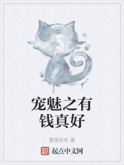 宠魅之有钱真好