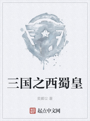 三国之西蜀皇