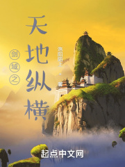 剑域之天地纵横