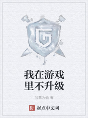 我在游戏里不升级