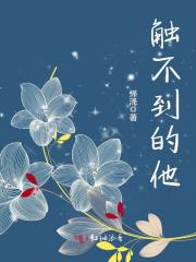 触不到的他