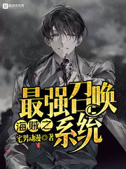 海贼之最强召唤系统