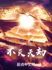 不灭天劫