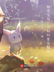 神奇宝贝，开局闪光金属怪